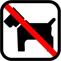 Das Mitbringen eines Hundes in diese Hütte ist nicht gestattet!