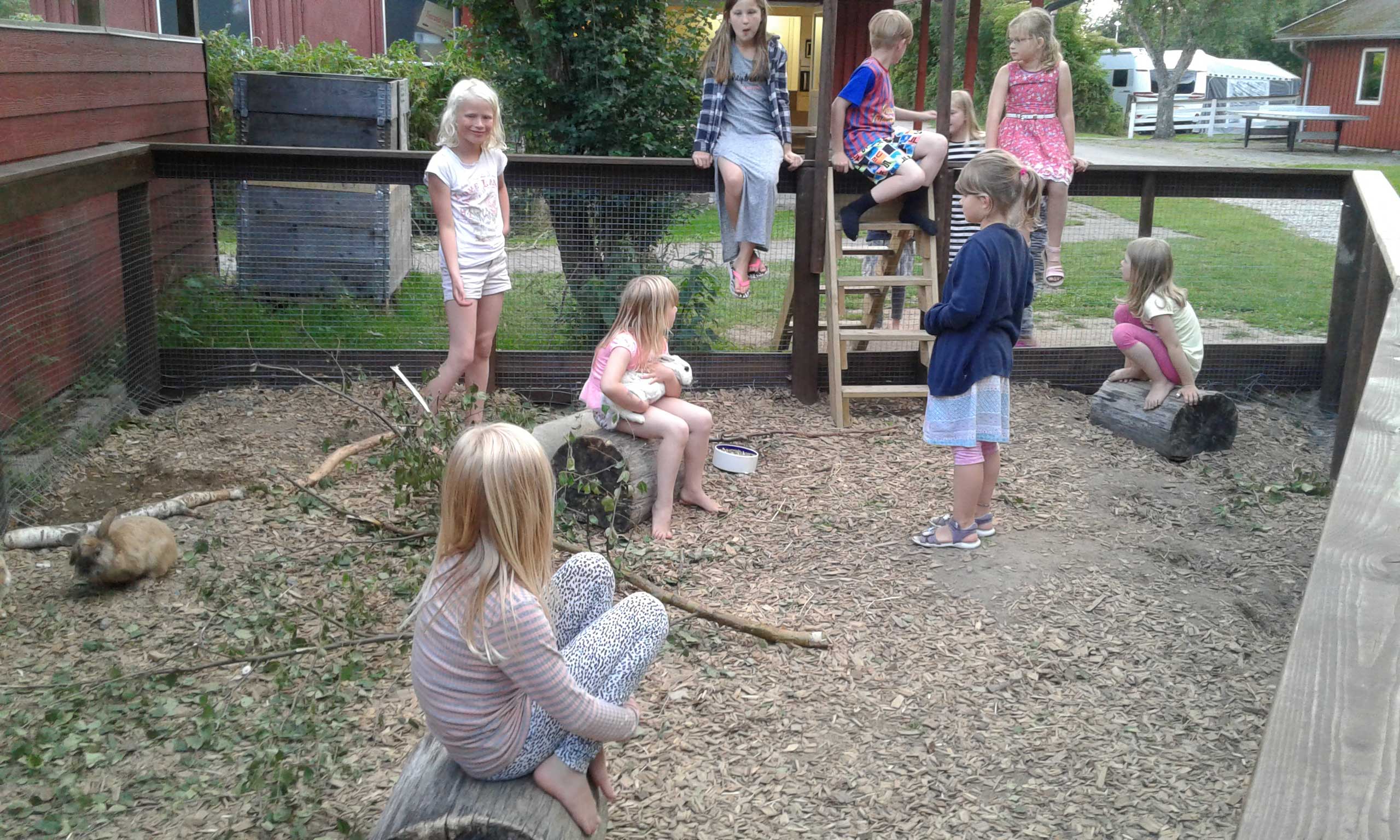 Nogle af de børn der besøgte os hjalp til med at give kaninerne mad - Horsens City Camping